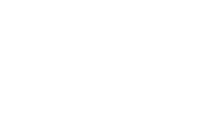 destasu logo white