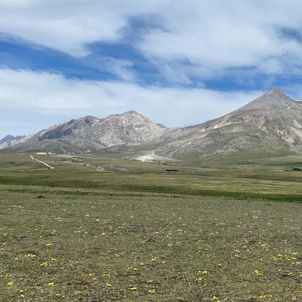 prateria con fiori gialli e cime rocciose di Campo Imperatore sotto un cielo nuvoloso